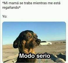 Jajaja Un Clasico Xd En 2020 Memes Graciosos De Animales Memes Memes Perrones