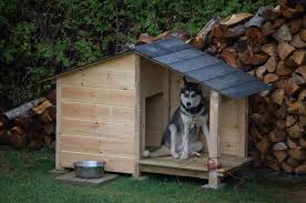 Plan décorer votre cabane ou votre abri la construction vous paraitra facile. Construire Une Niche Pour Chien En Palette Le Guide Complet
