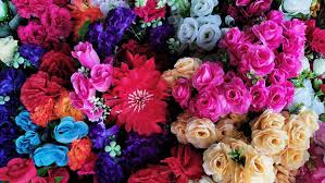 Wild dried meadow flowers on white background. One Million Blossoms Are Taking Over The Meatpacking District For The First Ever Flower Festival This Weekend