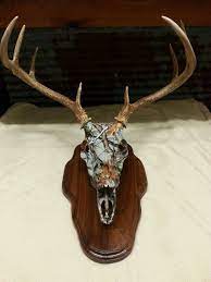 Camo Dipped Deer Head On A Plaque Wildlife Decor Skull Decor Antler Art