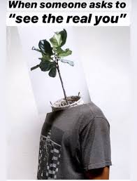 Meme Plant Memes Plant Lovers Plant Lover Plant Lady Instagram Photo