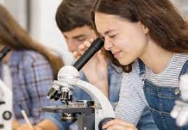 L'ÉDUCATION NATIONALE L'ÉDUCATION NATIONALE