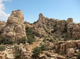 If you visit joshua tree to climb, hidden valley is a convenient choice as a basecamp. Joshua Tree National Park Indio Ca California Beaches