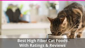 Hill's prescription diet w/d feline chicken. Best High Fiber Cat Food For Constipation And Diarrhea With Reviews