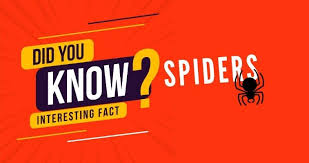 However, the impact can vary amongst spider species. Rentokil Singapore What You Need To Know About Spiders