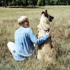 Ihre leidenschaft gilt dem wissenschaftlichen basierten training. 20 Warum Beisst Mein Hund Mit Aurea Verebes By Dog It Right