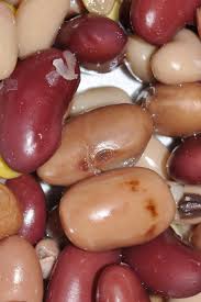 Image result for Phaseolus