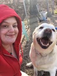 Shelter pets still look for homes amid pandemic