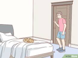 تدريب قطة Wikihow