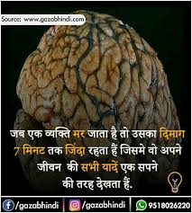 Pin By Daxa Pandya On Did You Know General Knowledge Facts Human Body Facts Gk Knowledge