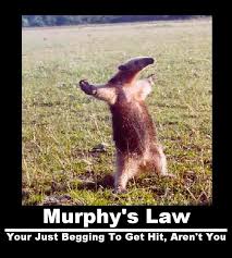 Murphy S Law By Intellectualdeviant On Deviantart