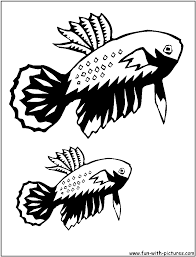 This betta fish coloring pages will helps kids to focus while developing creativity, motor skills and color recognition. Fish Coloring Pages Free Printable Colouring Pages For Kids To Print And Color In