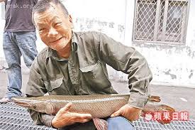 The site owner hides the web page description. å¹½éˆé±·é­šç«ç®­æ€ªé­šå¦‚é±· ç§'å­¦ç‰©ç† éœ¹é›³ä¸­æ–‡è®ºå›