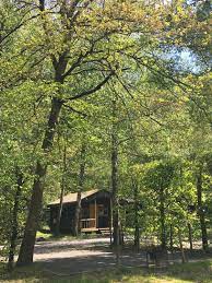 Bekijk foto's van campings en vind contactgegevens. Blokhut In 2021 Blokhut Blokhutten Hut