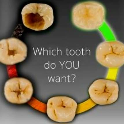 Dental clinic product image
