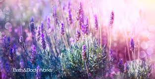 Bath Body Works Lilac Field Video Call Background Photo Canvas Art Relaxing Music Photo Canvas