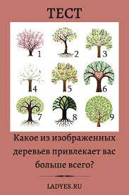 projdite test v 2020 g astrologicheskie znaki sovety recepty dlya konservirovaniya