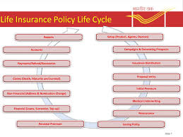 Solartis policy insurance life cycle. Ppt Presentation On Pli Mccamish Powerpoint Presentation Free Download Id 6079236