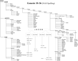 Bible Genealoy From Adam Family Tree Bible Family Tree