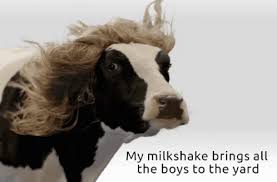 Check spelling or type a new query. Milkshake Cow Gifs Tenor
