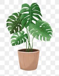 Imagens Folha Verde Png E Vetor Com Fundo Transparente Para Download Gratis Pngtree In 2020 Flower Backgrounds Flower Illustration Plant Cartoon