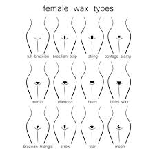 It reduces the friction between two people when they are engaging in adult time. 23 Brazilian Waxing Vectors Royalty Free Vector Brazilian Waxing Images Depositphotos