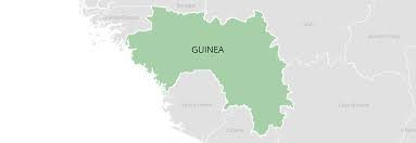 Reestablished strong diplomatic relations with the government. Guinea Landlinks