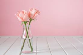 We did not find results for: The Best Flower Food For Fresh Flowers Make Your Own Magnaflor