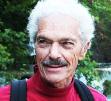 The Magnetic Universe