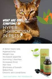 Pin On Natural Pet Products