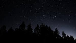 Fondos de pantalla nocturnos ideales para usar junto a un fondo de pantalla oscuro. Silueta Cielo Estrellado Noche Estrellada Estrellas Cielo Nocturno Fondo De Pantalla Hd Wallpaperbetter