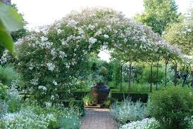 Protected Blog Log In White Gardens Sissinghurst Garden Planting Flowers
