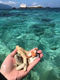 Sekiranya di mersing, boleh ke pulau tioman atau di terengganu ke pulau. Herbalife Coach Nadiah 011 11475950 Percutian Ke Pulau Tioman