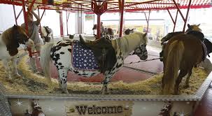 Cette édition mettra en lumière les forains. A L Aube De Son Interdiction Un Manege A Poneys De La Foire Du Midi Critique Sur Les Reseaux Sociaux Bx1