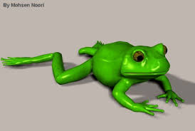 Frog 3d Model 3ds Obj Max Lwo 3d Model Model Frog