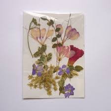 Some flowers may require a longer amount of time to prepare, so please let us know as far in advance as possible. Pressed Flowers Art Pressed Flowers Dry Pressed Flowers Dried Pressed Flowers Set For Craft Herbarium Scrapbooking Wedding Decoration Flower Art Pressed Flower Art Dried And Pressed Flowers