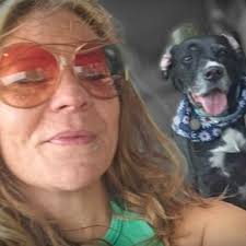 Book Certified Dog Training In Harrisonburg, VA