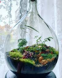 Terrarium De Plantentafel Beautiful Terrariums Bottle Garden Moss Plant