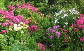 Die 5 Grossten Fehler Bei Der Gartengestaltung Garten Ideen Gestaltung Vorgarten Garten Pflanzen Garten Planen