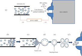Prediction of gas chromatography with flame ionization detection response factors: Direct Nano Electrospray Ionization Tandem Mass Spectrometry For The Quantification And Identification Of Metronidazole In Its Dosage Form And Human Urine Royal Society Open Science