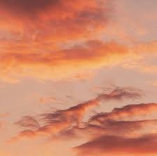 Discover images and videos about aesthetic from all over the world on we heart it. Image In Aesthetic Collection By Meriem Chaabna