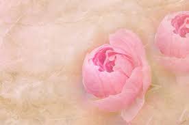 Flores de papel gigantes faciles de hacer. Como Hacer Flores De Papel Hermosas Y Faciles Makia