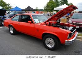 Image result for Saffron 1978 Nova