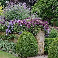 Otanica Trading On Instagra Cottage Garden Design Cottage Garden Garden Design