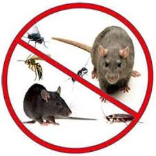 From carpenter ants to mice, find out how much it costs to control common household pest problems with a pest control service plan or a single visit. Rodent Pest Control Service Rodent Control Rat Controlling Service à¤š à¤¹ à¤• à¤Ÿ à¤° à¤² à¤¸à¤° à¤µ à¤¸ à¤° à¤Ÿ à¤• à¤Ÿ à¤° à¤² à¤¸à¤° à¤µ à¤¸ à¤š à¤¹ à¤¨ à¤¯ à¤¤ à¤°à¤£ à¤• à¤¸ à¤µ In Mithapur Patna Shree Ganesh Pest Control Id 10843788997