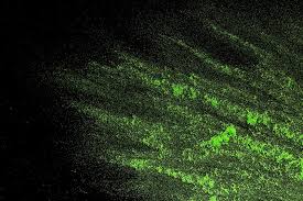 Check spelling or type a new query. Glow In The Dark Epoxy Using Glow Powder With Resin