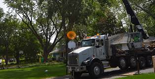 Windy city tree service providing a full stack of landscaping and tree cutting services in morton grove il and surrounding suburbs. Twin Cities Tree Care Professionals St Paul Park Mn