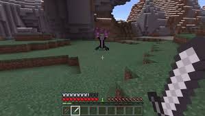 Follow the bundled how to guide to configure the server. Minecraft Bedrock Api
