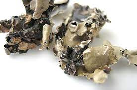 Nirav Pathar Phool Dagad Phool Stone Flower Spices Groceries Ishopindian Com
