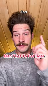 In 1995, around 4 in the morning, a 41 year old man snuck into the back of  the Duffy’s Circus facility in Galway Ireland. His intention ... to pet the  tigers. #ireland #irelandtiktok #galway ...